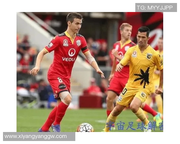 足球明星薪资计算的背后秘密与市场因素分析