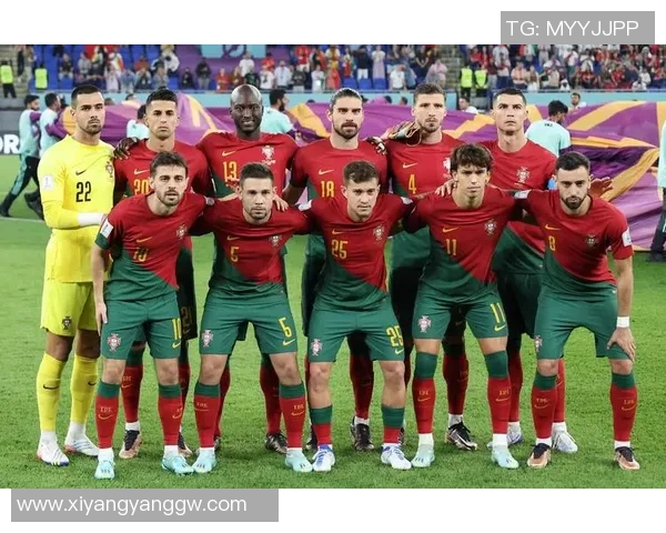 全面解析加纳足球明星阵容及其辉煌成就与影响力