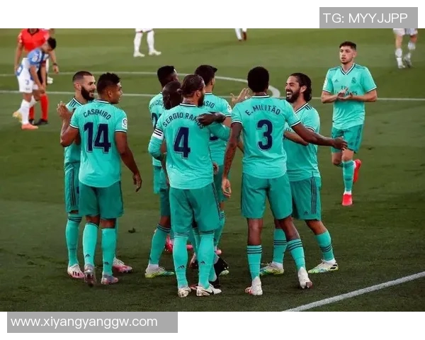 广州排球队团队协作引发热议球迷对战术配合与球员默契产生分歧